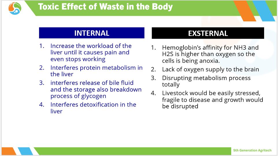 toxic effect of waste