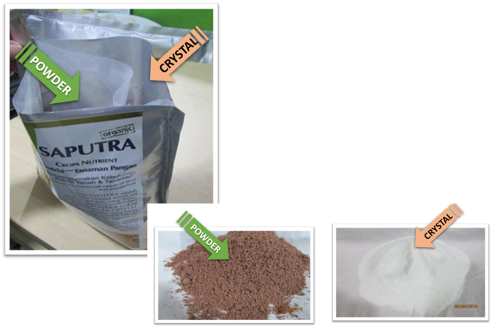 basic process of saputra nutrient agri